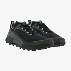 Biom 2.1 Country low