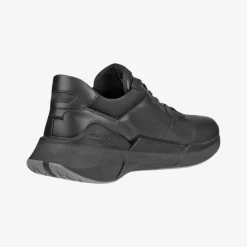 BIOM 2.2 Lea