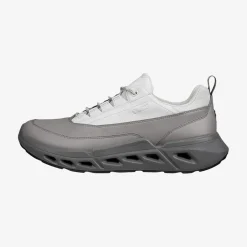 Biom 720 Men's Low Gore-Tex lædersko