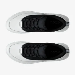Biom 720 Men's Low Gore-Tex lædersko