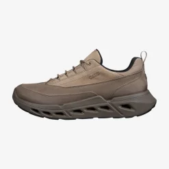 Biom 720 Men's Low Gore-Tex lædersko