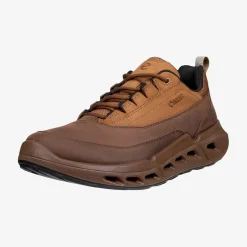 Biom 720 Men's Low Gore-Tex lædersko