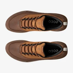 Biom 720 Men's Low Gore-Tex lædersko