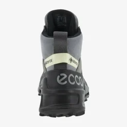 Biom 2.1 X MTN damestøvle