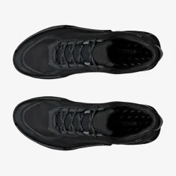 Biom 2.1 X Mtn Gore-Tex sko