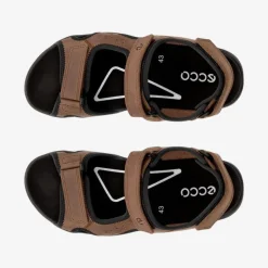 Hike sandal 3 straps