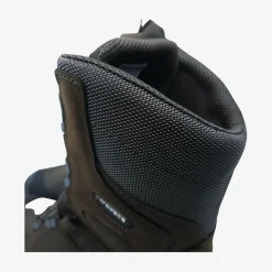 Lynx BOA 10