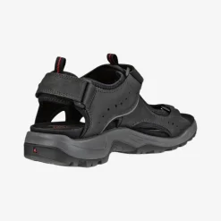 Offroad Andes II Men's sandal