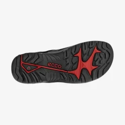 Offroad Andes II Men's sandal