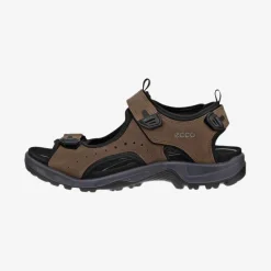 Offroad Andes II Men's sandal