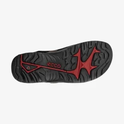 Offroad Andes II Men's sandal