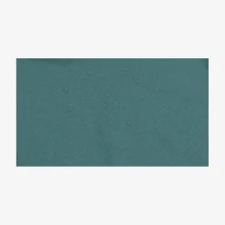 Pioneer 2EX