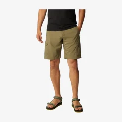Silver Ridge Utility Cargo Shorts